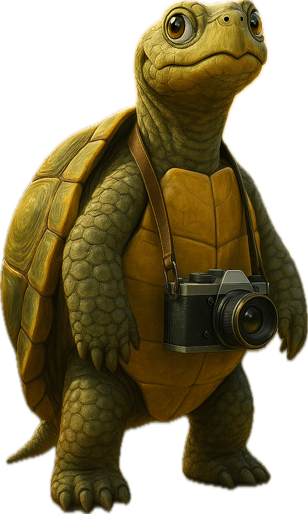 SnapTurtle mascot
